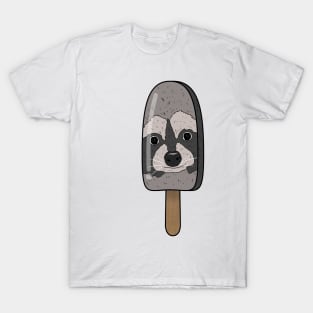 Animal Popsicle Raccoon Ice Cream Summer Gift T-Shirt